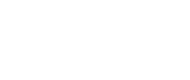翻回国VPN - 大陆VPN